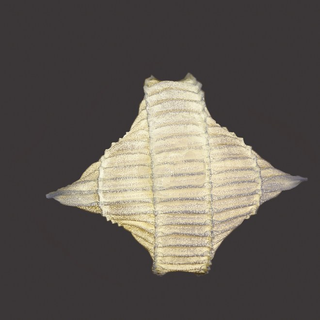 DSC_1716-Edit-Edit-Edit-Edit-2-Edit-Edit